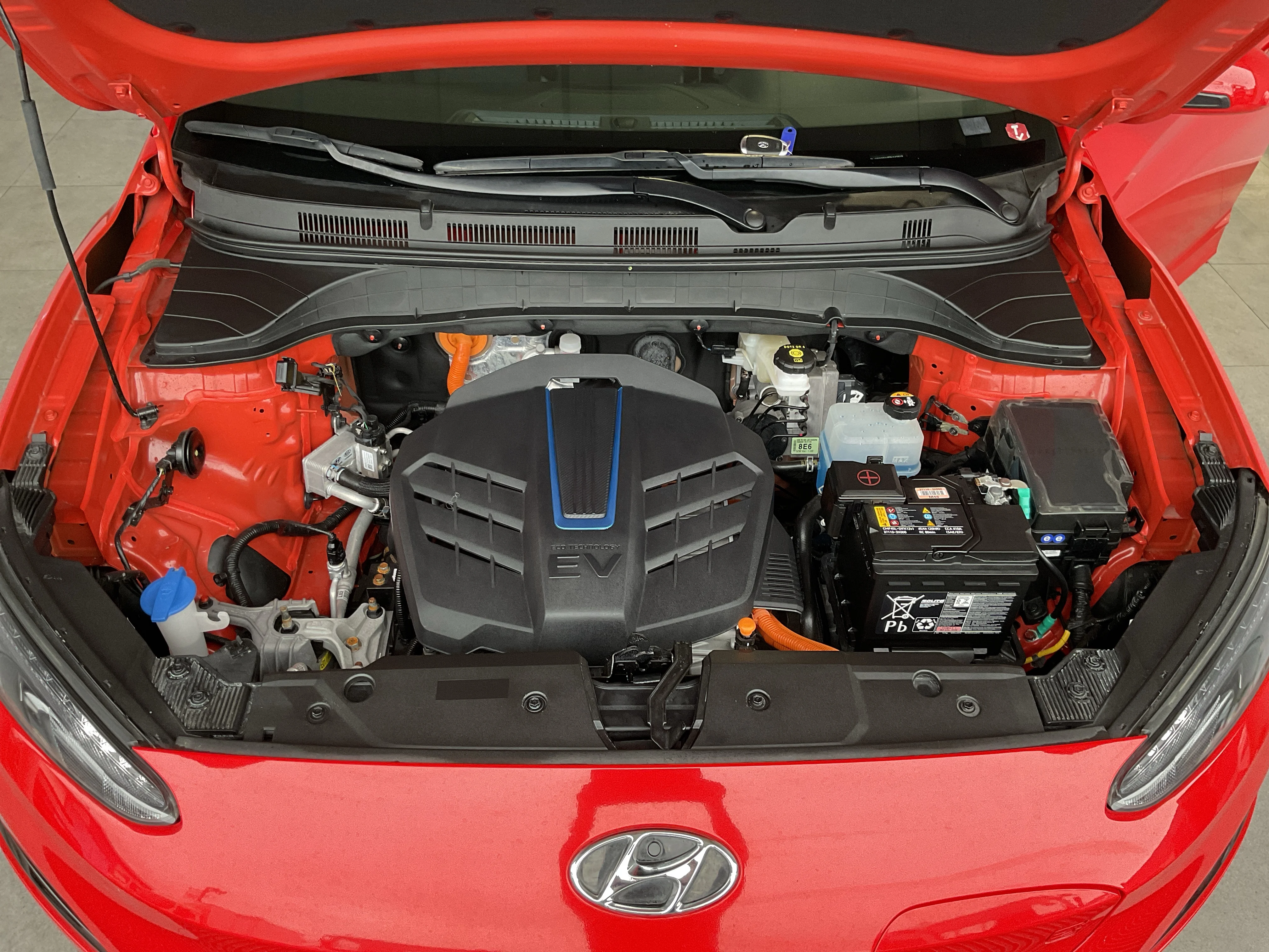 Interior 5